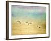 Seagulls in the Sky II-Ynon Mabat-Framed Art Print