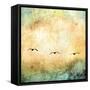 Seagulls in the Sky Square III-Ynon Mabat-Framed Stretched Canvas