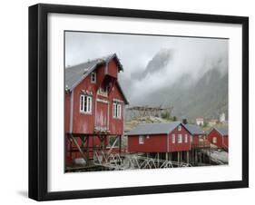 Seagulls Nesting on a Warehouse, Moskenesoya, Lofoten Islands, Norway, Scandinavia-Gary Cook-Framed Photographic Print