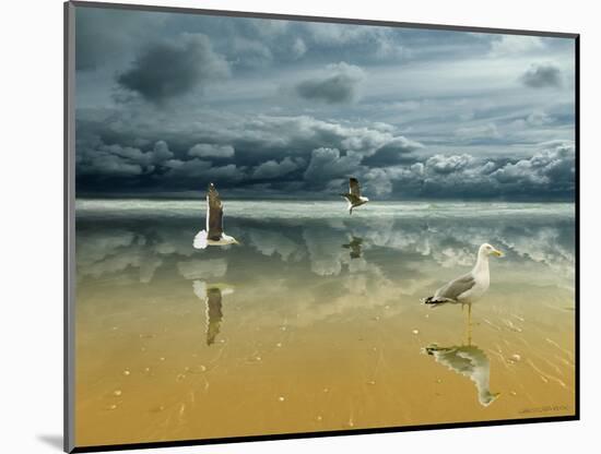 Seagulls on the Beach-Carlos Casamayor-Mounted Giclee Print