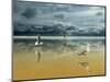 Seagulls on the Beach-Carlos Casamayor-Mounted Giclee Print