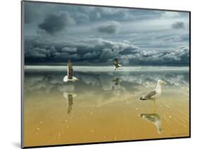 Seagulls on the Beach-Carlos Casamayor-Mounted Giclee Print