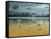 Seagulls on the Beach-Carlos Casamayor-Framed Stretched Canvas