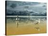 Seagulls on the Beach-Carlos Casamayor-Stretched Canvas