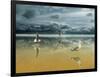 Seagulls on the Beach-Carlos Casamayor-Framed Giclee Print