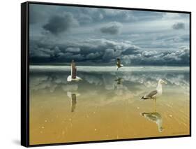 Seagulls on the Beach-Carlos Casamayor-Framed Stretched Canvas