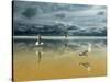 Seagulls on the Beach-Carlos Casamayor-Stretched Canvas