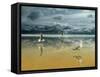 Seagulls on the Beach-Carlos Casamayor-Framed Stretched Canvas