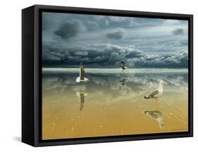 Seagulls on the Beach-Carlos Casamayor-Framed Stretched Canvas