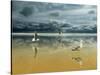 Seagulls on the Beach-Carlos Casamayor-Stretched Canvas