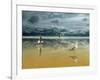 Seagulls on the Beach-Carlos Casamayor-Framed Premium Giclee Print