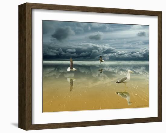 Seagulls on the Beach-Carlos Casamayor-Framed Giclee Print