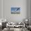 Seagulls over the City of Zurich, Switzerland-Robert Boesch-Stretched Canvas displayed on a wall