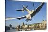Seagulls over the City of Zurich, Switzerland-Robert Boesch-Stretched Canvas