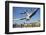 Seagulls over the City of Zurich, Switzerland-Robert Boesch-Framed Photographic Print