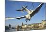 Seagulls over the City of Zurich, Switzerland-Robert Boesch-Mounted Photographic Print