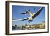 Seagulls over the City of Zurich, Switzerland-Robert Boesch-Framed Photographic Print