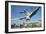 Seagulls over the City of Zurich, Switzerland-Robert Boesch-Framed Photographic Print