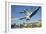 Seagulls over the City of Zurich, Switzerland-Robert Boesch-Framed Photographic Print