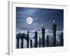 Seagulls Perched On Wooden Posts Under a Full Moon-Stocktrek Images-Framed Photographic Print