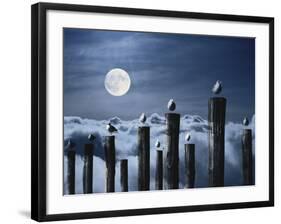 Seagulls Perched On Wooden Posts Under a Full Moon-Stocktrek Images-Framed Photographic Print