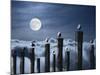 Seagulls Perched On Wooden Posts Under a Full Moon-Stocktrek Images-Mounted Photographic Print