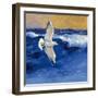 Seagulls with Gold Sky II-Shirley Novak-Framed Art Print