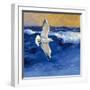 Seagulls with Gold Sky II-Shirley Novak-Framed Art Print
