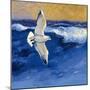 Seagulls with Gold Sky II-Shirley Novak-Mounted Art Print