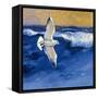 Seagulls with Gold Sky II-Shirley Novak-Framed Stretched Canvas