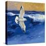 Seagulls with Gold Sky II-Shirley Novak-Stretched Canvas