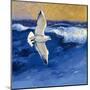 Seagulls with Gold Sky II-Shirley Novak-Mounted Art Print