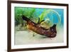 Seahare crawling in Common eelgrass meadow, Cornwall-Alex Mustard-Framed Photographic Print