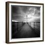 Seaherd-Craig Roberts-Framed Photographic Print