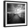 Seaherd-Craig Roberts-Framed Photographic Print