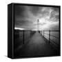 Seaherd-Craig Roberts-Framed Stretched Canvas