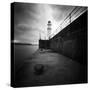 Seahorde-Craig Roberts-Stretched Canvas