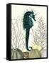 SeaHorse and Sea Urchins-Fab Funky-Framed Stretched Canvas