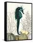 SeaHorse and Sea Urchins-Fab Funky-Framed Stretched Canvas