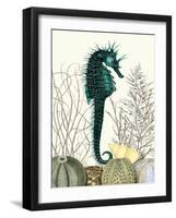 SeaHorse and Sea Urchins-Fab Funky-Framed Art Print