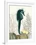 SeaHorse and Sea Urchins-Fab Funky-Framed Art Print