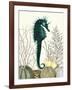 SeaHorse and Sea Urchins-Fab Funky-Framed Art Print