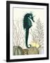 SeaHorse and Sea Urchins-Fab Funky-Framed Art Print
