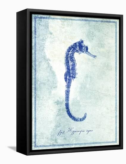 Seahorse B-GI ArtLab-Framed Stretched Canvas