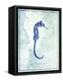 Seahorse B-GI ArtLab-Framed Stretched Canvas