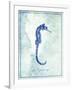 Seahorse B-GI ArtLab-Framed Giclee Print