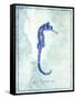 Seahorse B-GI ArtLab-Framed Stretched Canvas