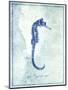 Seahorse B-GI ArtLab-Mounted Giclee Print