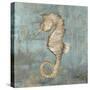 Seahorse Dance-Jacob Q-Stretched Canvas