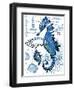 Seahorse Laguna-Julie Paton-Framed Art Print